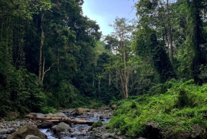 Lombok: Tiu Kelep Waterfall Tour and Sembalun Agro Tourism