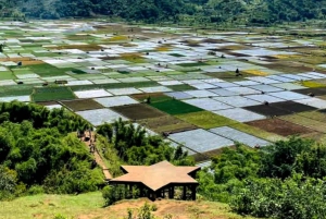 Lombok: Tiu Kelep Waterfall Tour and Sembalun Agro Tourism
