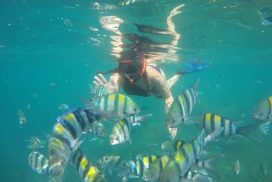 Lombok Tour and Snorkeling: Gili Kedis, Nanggu, and Sudak