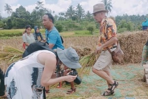 Lombok tur: Utforska natur och kultur runt Lombok