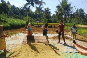 Tour di Lombok: Esplora la natura e la cultura di Lombok