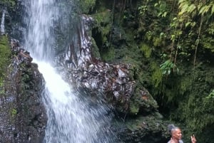 Lombok Rundresa: Tetebatu, Ricefield, vattenfall och apskog