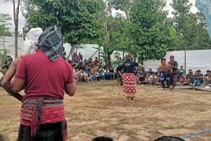 Rundvisning på Lombok: Tetebatu, rismark, vandfald og abeskov