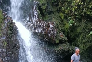 Lombok Tour: Tetebatu, Reisfeld, Wasserfälle und Affenwald