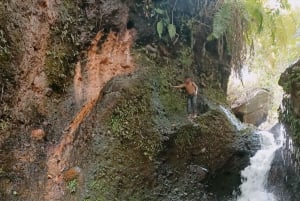 ロンボク島ツアー：テテバトゥ、田んぼ、滝、モンキーフォレスト