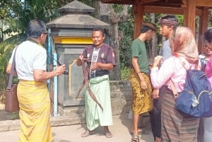 Tour di Lombok: Tetebatu, Ricefield, cascate e foresta delle scimmie