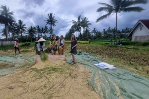 Lombok: Landtur til Tetebatu og Benang Stokel-vandfaldet