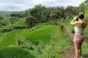 Lombok: Landtur til Tetebatu og Benang Stokel-vandfaldet