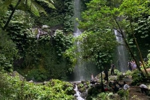 Lombok: Tour Tetebatu Rice Terrace & Benang Stokel Waterfall