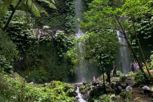 Lombok: Tour della campagna Tetebatu e cascata Benang Stokel