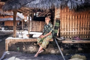 Tour de Lombok : Villages traditionnels, culture et chutes d'eau