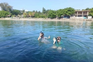 Lombok : Trawangan, Meno & Airsaaret kokopäivän snorklausretki