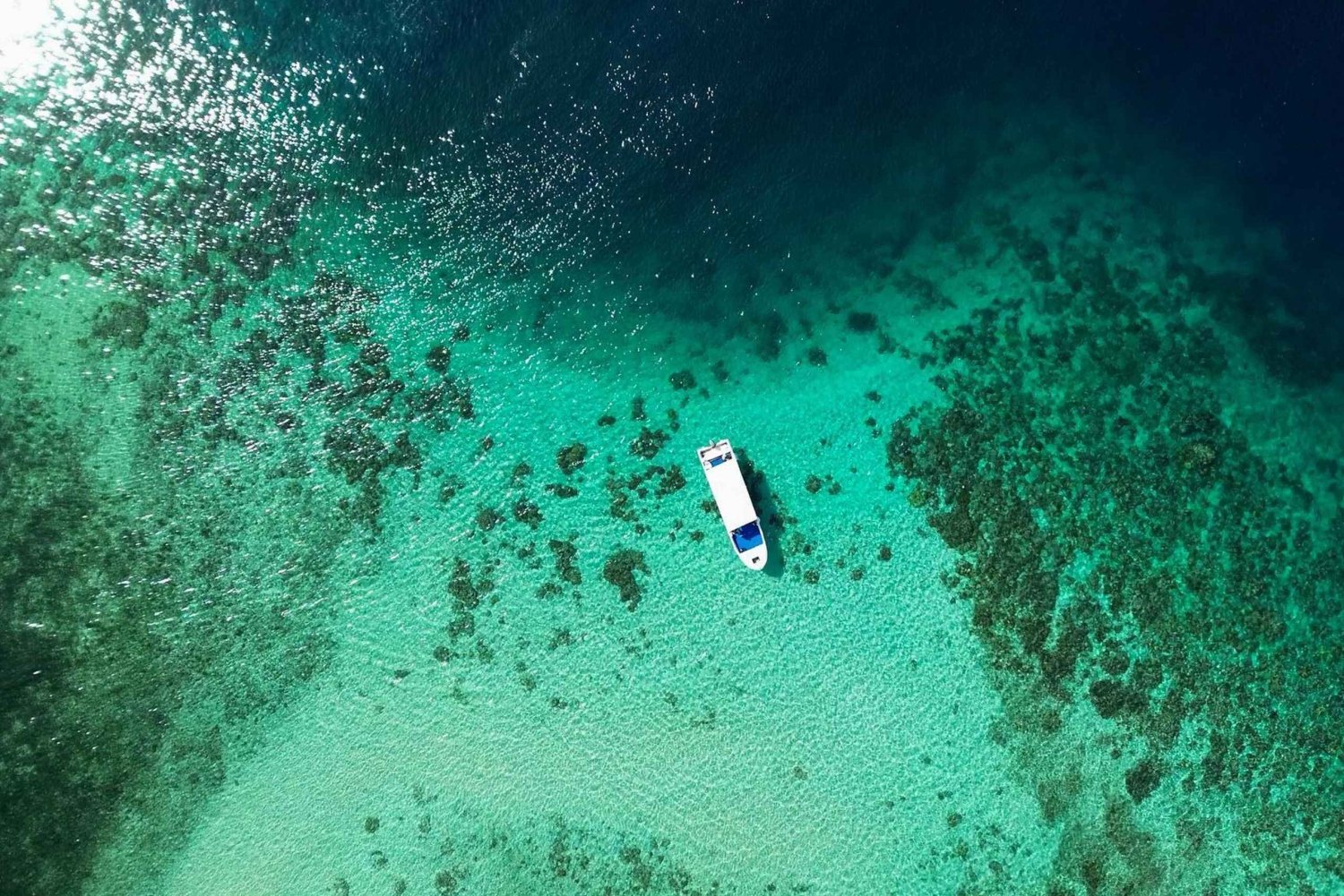 Lombok: Prøv dykning