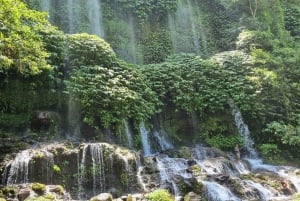 Lombok : Visite privée des chutes d'eau et des villages traditionnels