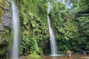 Lombok: Vandfald og traditionel landsby privat tur