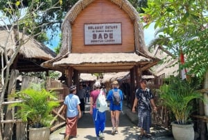 Lombok : Visite privée des chutes d'eau et des villages traditionnels