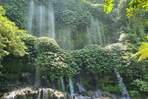 Lombok: Waterval en traditioneel dorp privétour