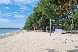 Lombok: Privat tur til fossefall og tradisjonell landsby