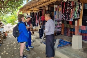 Lombok: Waterfall and Traditional Village Private Tour