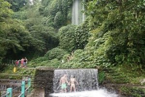 Lombok: Wasserfall Benang Kelambu & Reisfeldausflug inkl. Mittagessen