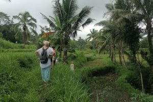 Lombok: Cascata Benang Kelambu e risaia, pranzo incluso