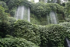 Lombok: Waterfall Benang Kelambu & River Rafting Trip