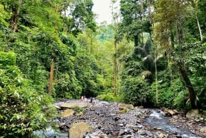 Tour delle cascate di Lombok Nord