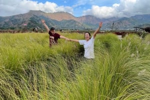 Excursão de 1 dia às cachoeiras e vistas das montanhas de Lombok