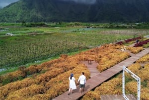 Excursão de 1 dia às cachoeiras e vistas das montanhas de Lombok