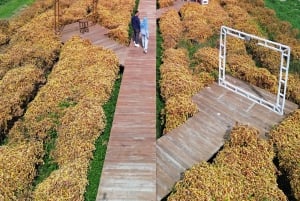 Excursão de 1 dia às cachoeiras e vistas das montanhas de Lombok