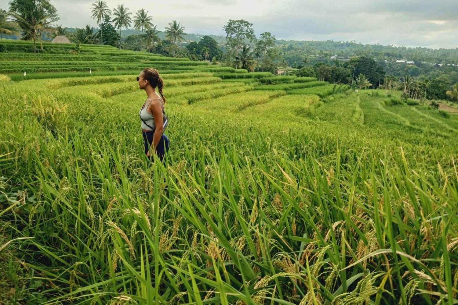 Lombok: Fosser, Sasak-landsbyen, rismark og Selong Hill