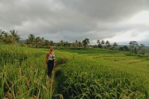 Lombok: Cascate, villaggio Sasak, risaia e collina di Selong