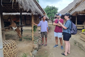 Lombok: Cascadas, aldea Sasak, arrozal y colina Selong