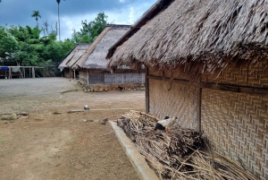 Lombok: Cascadas, aldea Sasak, arrozal y colina Selong