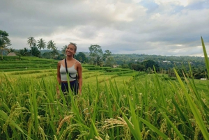 Lombok: Vattenfall, Sasak Village, risfält och Selong Hill