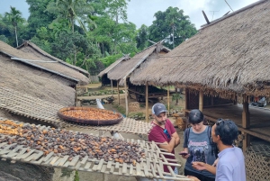 Lombok: Cachoeiras, Vila Sasak, Campo de Arroz e Colina Selong