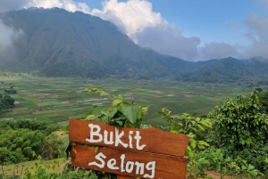 Lombok: Cascadas, aldea Sasak, arrozal y colina Selong