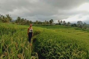 Lombok: Fosser, Sasak-landsbyen, rismark og Selong Hill