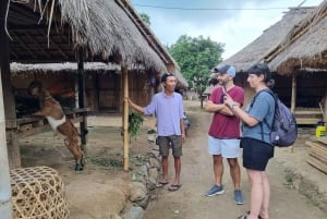 Lombok: Fosser, Sasak-landsbyen, rismark og Selong Hill