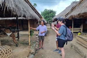 Lombok: Fosser, Sasak-landsbyen, rismark og Selong Hill