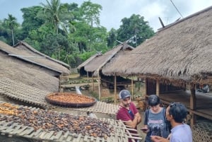 Lombok: Fosser, Sasak-landsbyen, rismark og Selong Hill