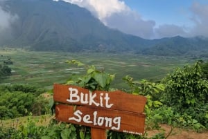 Lombok: Fosser, Sasak-landsbyen, rismark og Selong Hill