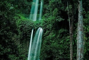 luxurious sendang gila, tiukelep waterfal & selong hill tour