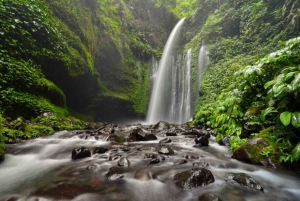 luxurious sendang gila, tiukelep waterfal & selong hill tour