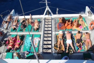 Madeira: Dolphin and Whale Watching Tour from Funchal