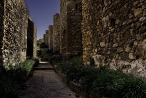 Málaga: Roman Theatre and Alcazaba Guided Tour