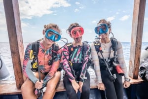 Manta Dive Gili Trawangan : Découvrez la plongée sous-marine