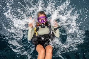 Manta Dive Gili Trawangan : Découvrez la plongée sous-marine