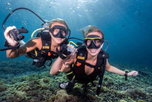 Manta duiken op Gili Trawangan: Ontdek duiken