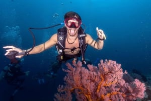 Manta Dive на Гили Травангане: откройте для себя подводное плавание